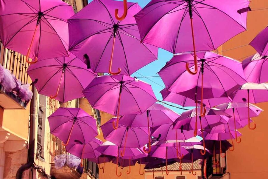 From Madrid: Day Trip to Brihuega Lavender Fields - The lavender market and local products