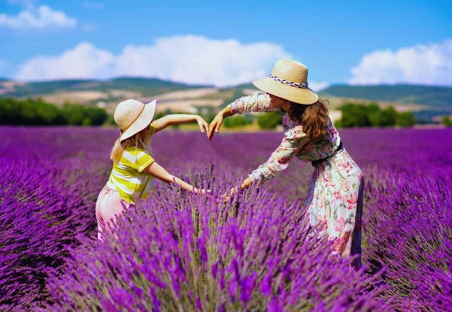 From Madrid: Day Trip to Brihuega Lavender Fields - Timing the best photographs