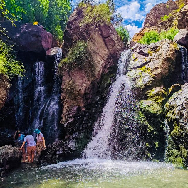 From Marrakech: Day Trip to Anima Garden and Imlil Valley - Guides, drivers, and the small-group setup
