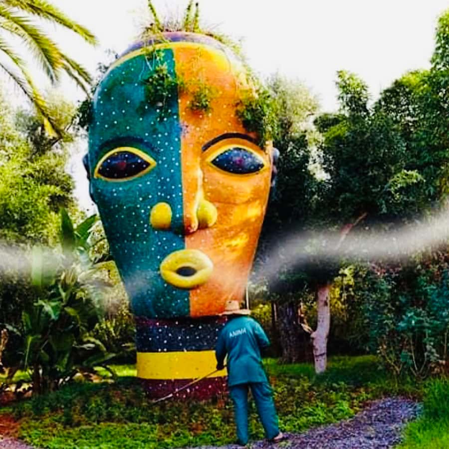 From Marrakech: Day Trip to Anima Garden and Imlil Valley - Anima Garden: modern art among unusual plants