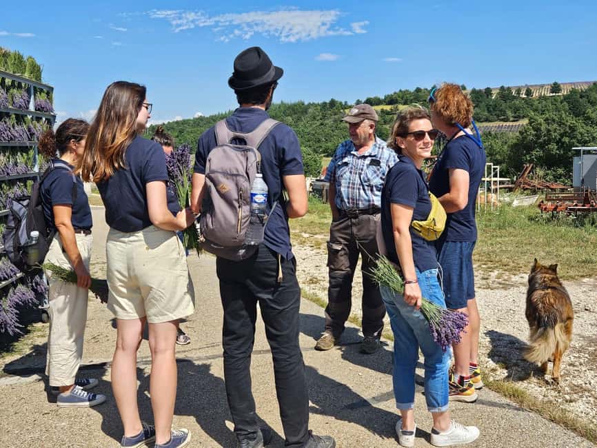 From Marseille: Lavender Full-Day Trip to Sault - What the $187 price includes