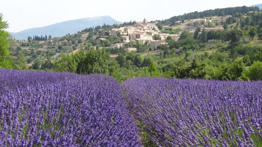 From Marseille: Lavender Full-Day Trip to Sault - The drive into Pays de Sault