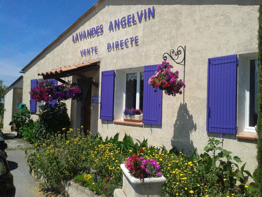 From Marseille: Valensole Lavenders Tour from Cruise Port - Should you book the Valensole lavender tour?