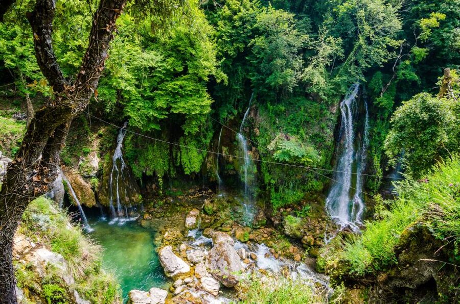 From Nice: Flower Fields & Saint Cassien Lake Full-Day Trip - Lavanderaie de Marie and the scents of Provence