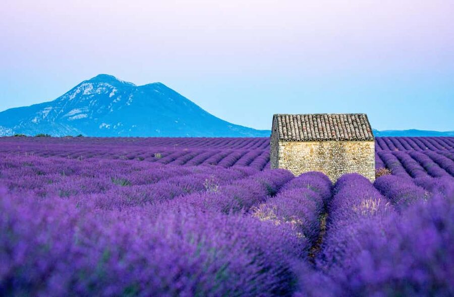 From Nice: Verdon Gorges & Lavender Fields Tour & Transport - Key points at a glance