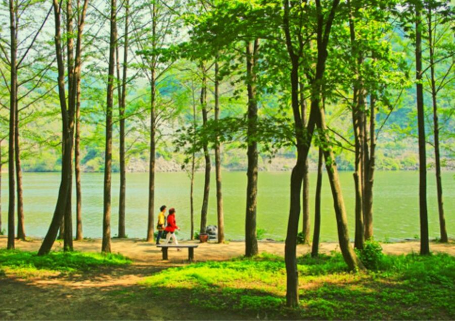 From Seoul: Nami Island, K-drama Garden & Rail Bike Day Tour - Practical booking advice