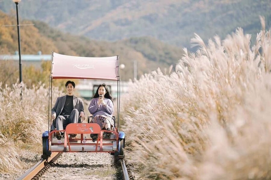 From Seoul: Nami Island, K-drama Garden & Rail Bike Day Tour - Why this day trip works from Seoul