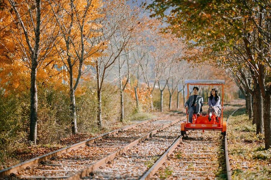From Seoul: Nami Island, K-drama Garden & Rail Bike Day Tour - Nami Island: scenic paths with a K-drama connection