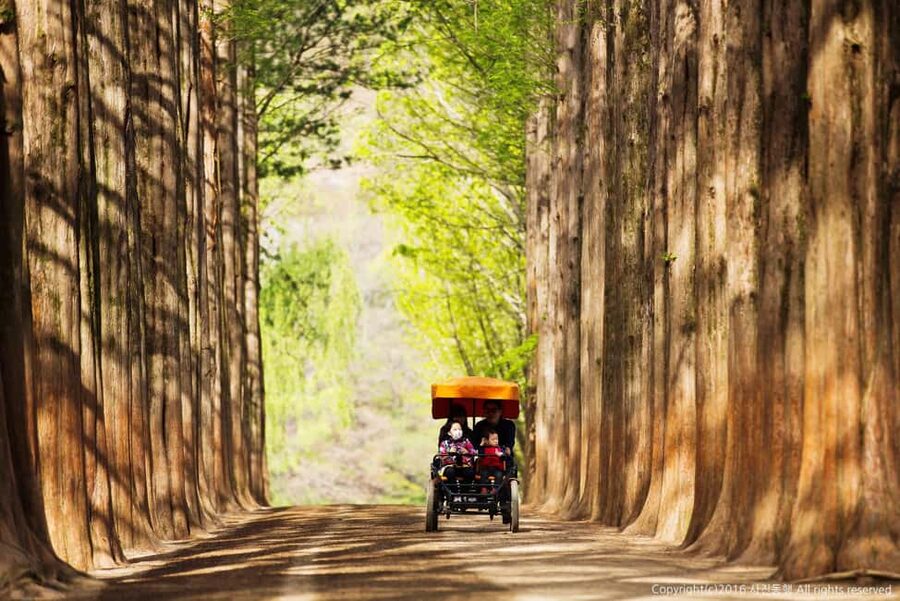 From Seoul: Nami Island, K-drama Garden & Rail Bike Day Tour - Winter versus the March to November schedule