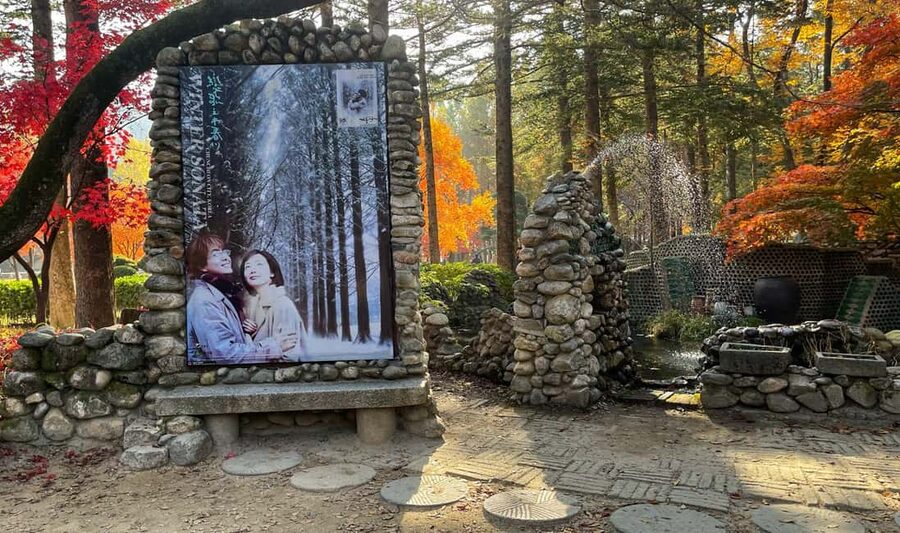 From Seoul: Nami Island, K-drama Garden & Rail Bike Day Tour - Guides, vehicles, and the group experience