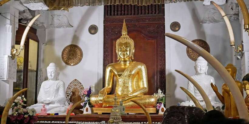 From Sigiriya: Kandy Transfer with Dambulla and Spice Garden - Entering Dambulla’s Royal Cave Temple