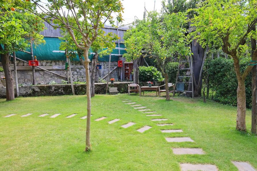 From Sorrento to Meta: cook with a local family and enjoy the garden!! - Why this cooking class feels different