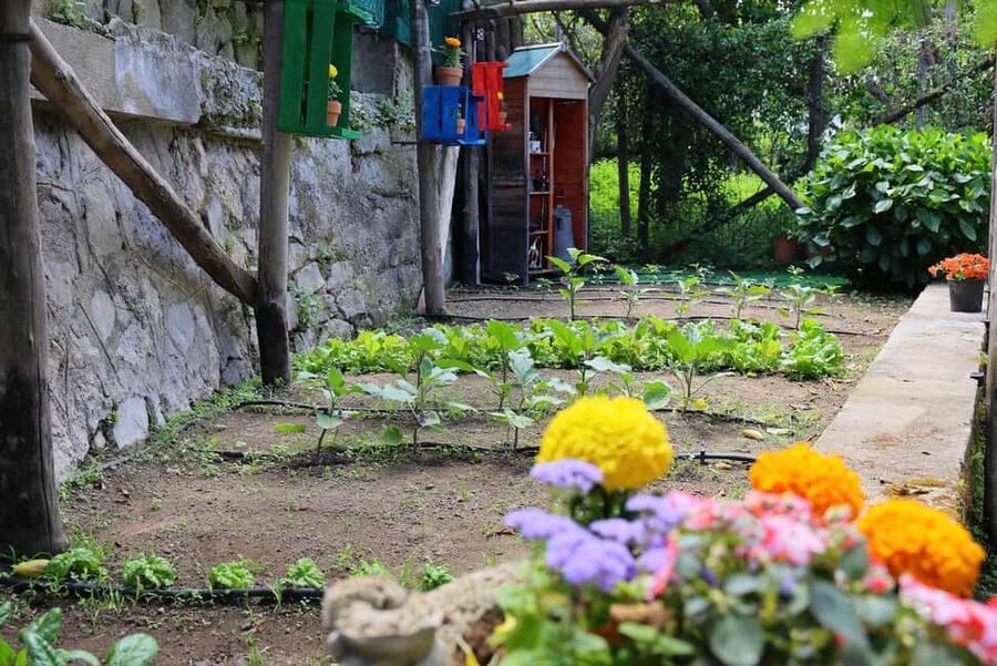 From Sorrento to Meta: cook with a local family and enjoy the garden!! - A prosecco welcome and a garden tour