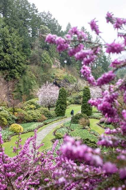 From Vancouver: Victoria, BC Ferry, Butchart Gardens Tour - Butchart Gardens in a 75-minute visit