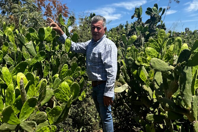 Fruit Garden and Mezcal Tasting Tour with Lunch Included - Key points to know before booking