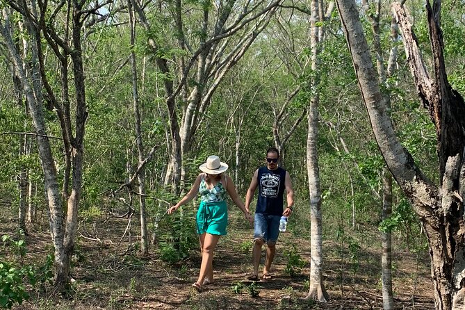Fruit Garden and Mezcal Tasting Tour with Lunch Included - Mezcal tasting from white to mango