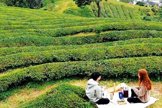 Full-day Hadong, Gwangyang, Cherry blossom, Green Tea Fields Private Tour - Dosim Dawon and the old tea trees