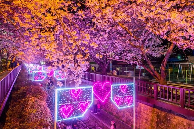 Full-Day Jinhae Cherry Blossom festival Private tour - Starting from Busan between 8:00 and 9:00 a.m.