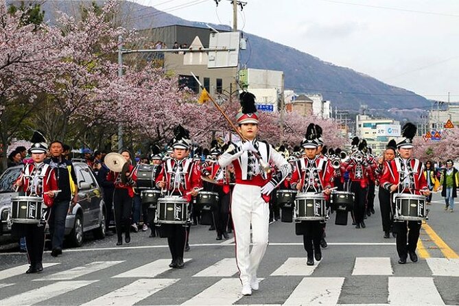Full-Day Jinhae Cherry Blossom festival Private tour - Jehwangsan Park and the 365-step climb