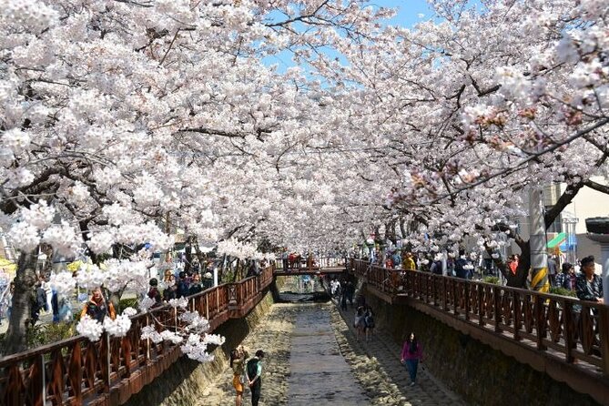 Full-Day Jinhae Cherry Blossom festival Private tour - Jangboksan Sculpture Park and the final view