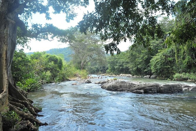 Full day Kandy walking tour with TUK TUK ride to Peradeniya gardens - Arthur’s Seat and Kandy’s best city view
