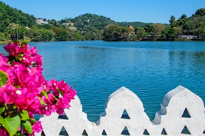 Full day Kandy walking tour with TUK TUK ride to Peradeniya gardens - The tuk tuk ride to Peradeniya Gardens