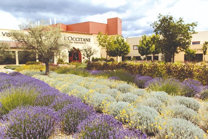 Full Day Ocean of Lavender in Valensole from Avignon - The Aix-en-Provence Question