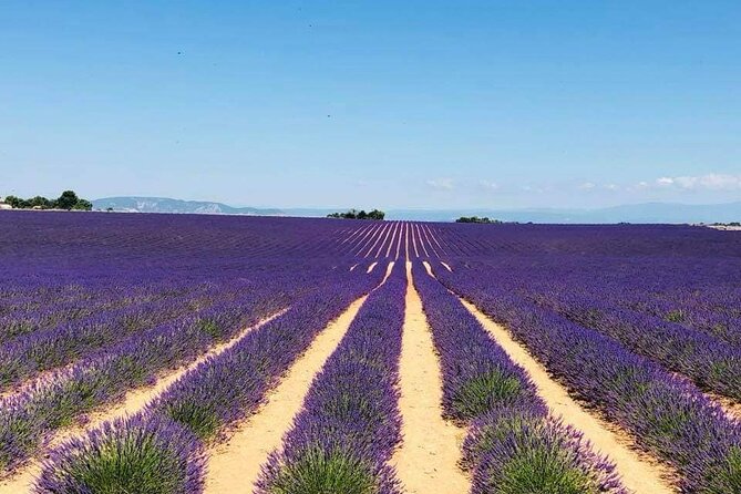 Full-day Private Tour Gorges du Verdon (LAVENDER JUNE 15/JULY 15) - Who will get the most from this tour
