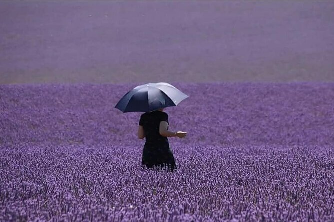 Full-day Private Tour Gorges du Verdon (LAVENDER JUNE 15/JULY 15) - Valensole: lavender, farm tastes, and time for photographs