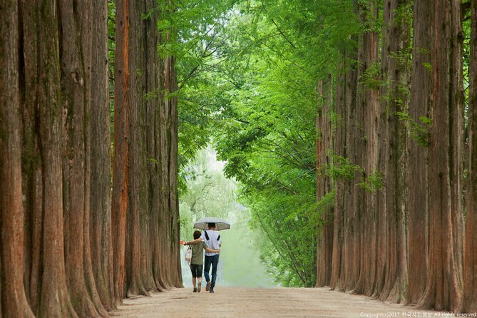 Full Day Private Tour Nami Island, Garden & Petite France - Petite France: Korea’s French-Themed Village