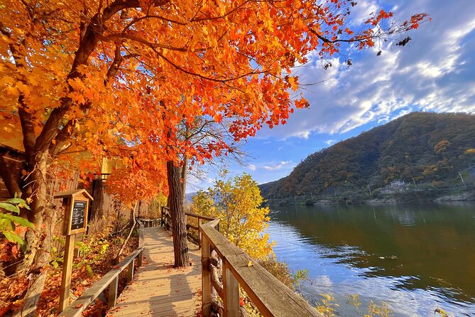 Full Day Private Tour Nami Island, Garden & Petite France - Pinocchio and Da Vinci: An Italian Village with a Storybook Feel