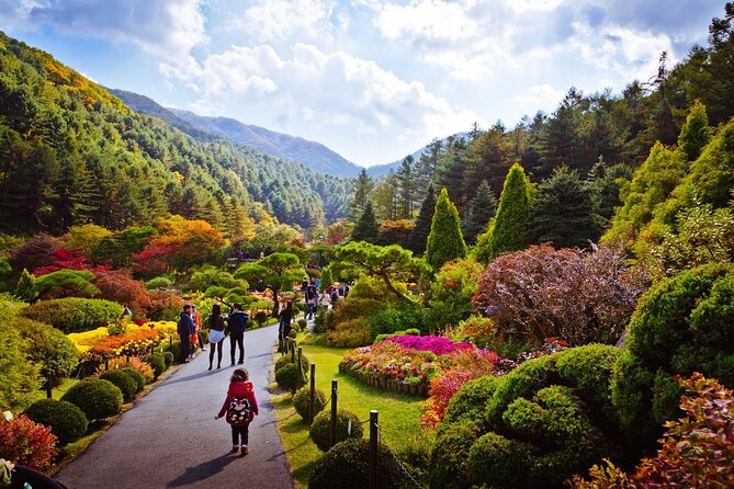 Full Day Private Tour Nami Island, Garden & Petite France - Transport, Guide Service, and the Value of a Private Day