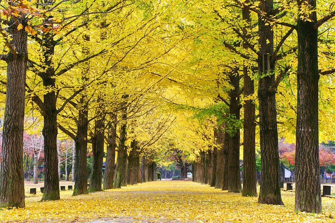 Full Day Private Tour Nami Island, Garden & Petite France - Is $260 Per Person a Fair Price?