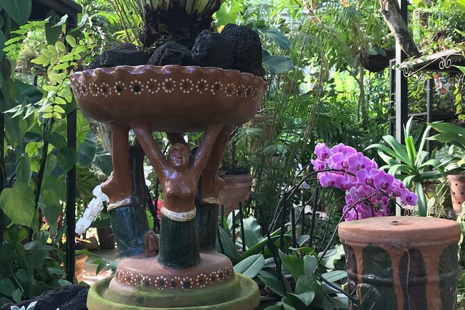 Full Day Puerto Vallarta Botanical Garden Tour - Why the 8:30 a.m. start matters