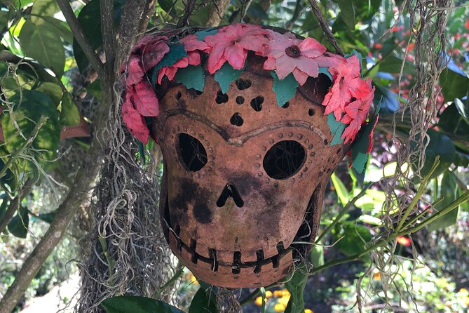 Full Day Puerto Vallarta Botanical Garden Tour - The stories behind vanilla, cacao, and local plants