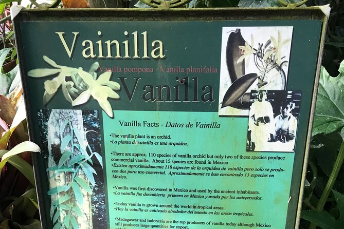 Full Day Puerto Vallarta Botanical Garden Tour - Beyond the formal plantings: outer trails and the river