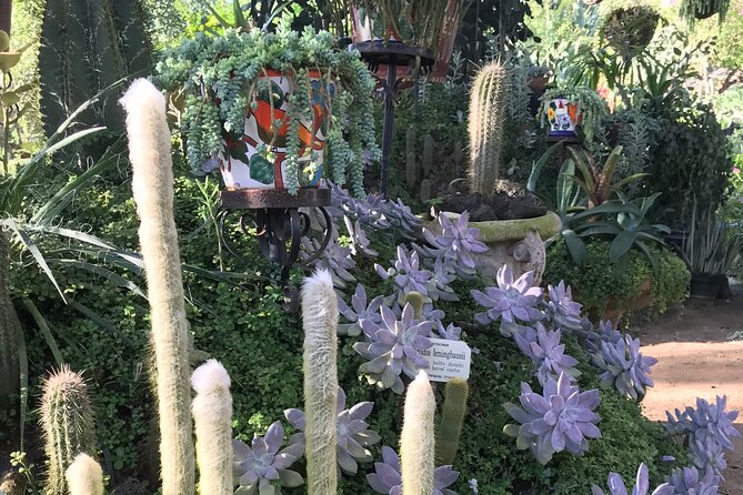 Full Day Puerto Vallarta Botanical Garden Tour - The South Shore ride to the garden