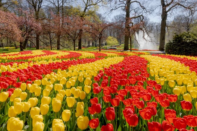 Full-Day Skip the Line Keukenhof and Canal Cruise from Amsterdam - Crowds, food, and the best season