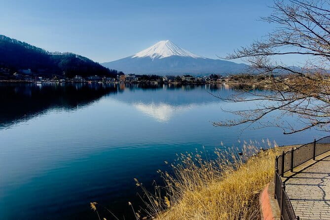 Full Guided Mt. Fuji & Hakone Attractive Private Day Tour - Why this private Fuji and Hakone day works