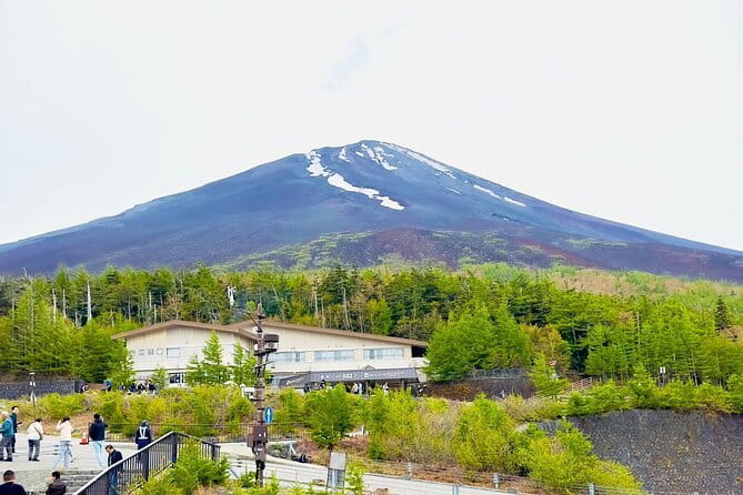 Full Guided Mt. Fuji & Hakone Attractive Private Day Tour - The guide and vehicle make the difference