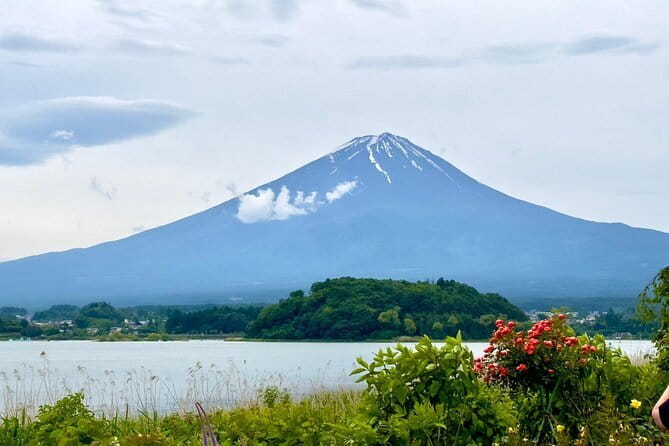 Full Guided Mt. Fuji & Shiba-Sakura Festival One Day Pvt.Tour - Why this private Fuji route works well from Tokyo