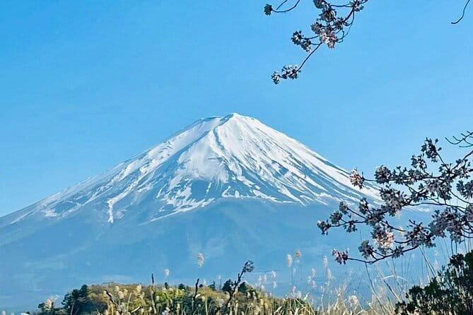 Full Guided Mt. Fuji & Shiba-Sakura Festival One Day Pvt.Tour - Old-style homes at Saiko Iyashi no Sato Nemba