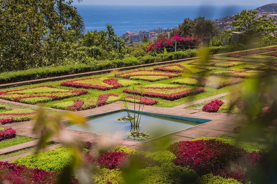 Funchal: Botanical Garden and Old Town Private Tuk-Tuk Tour - Key points to know before you book