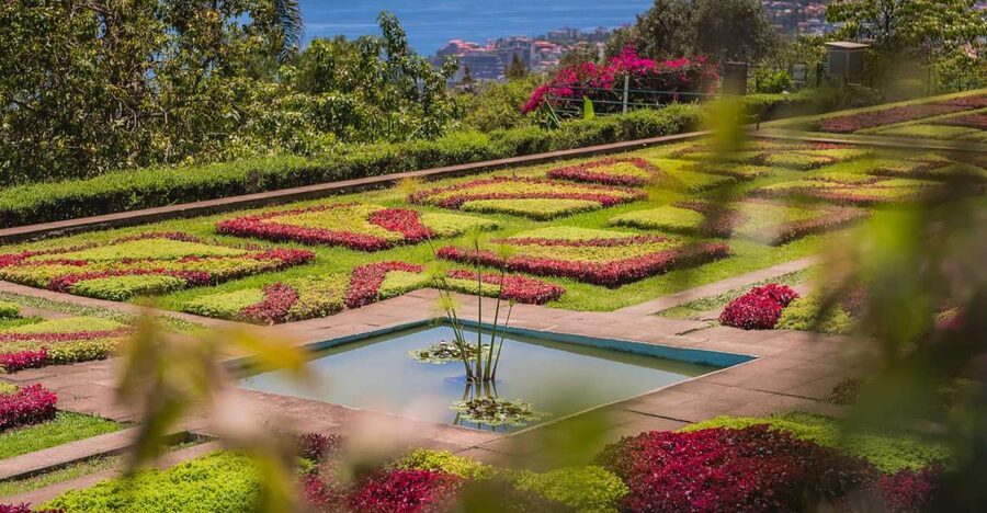 Funchal: Botanical Garden and Old Town Private Tuk-Tuk Tour - The ride to Bom Sucesso and the Botanical Garden