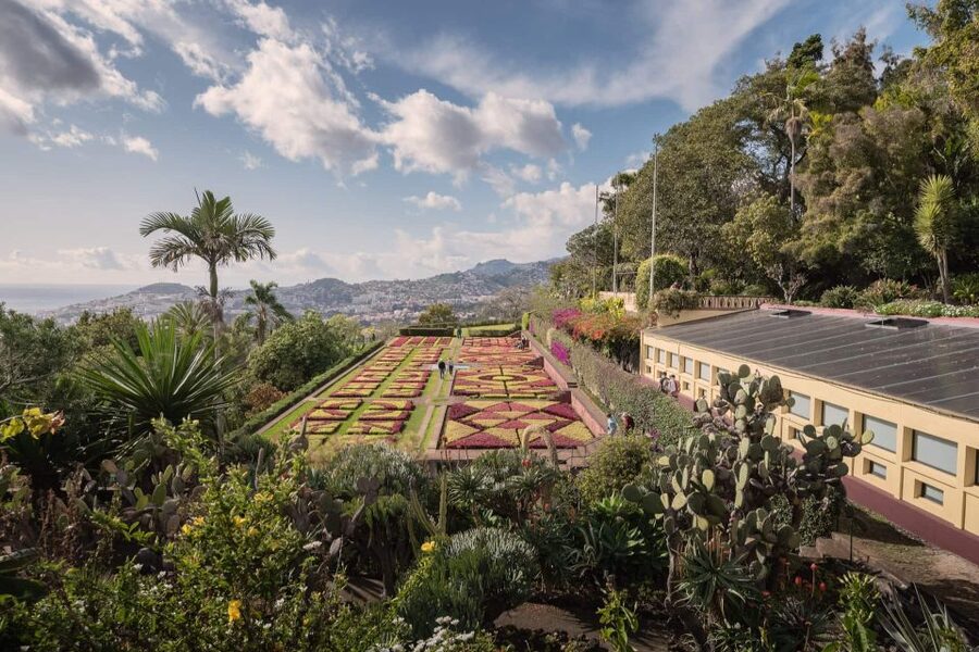 Funchal: Botanical Garden and Old Town Private Tuk-Tuk Tour - Useful details before setting off