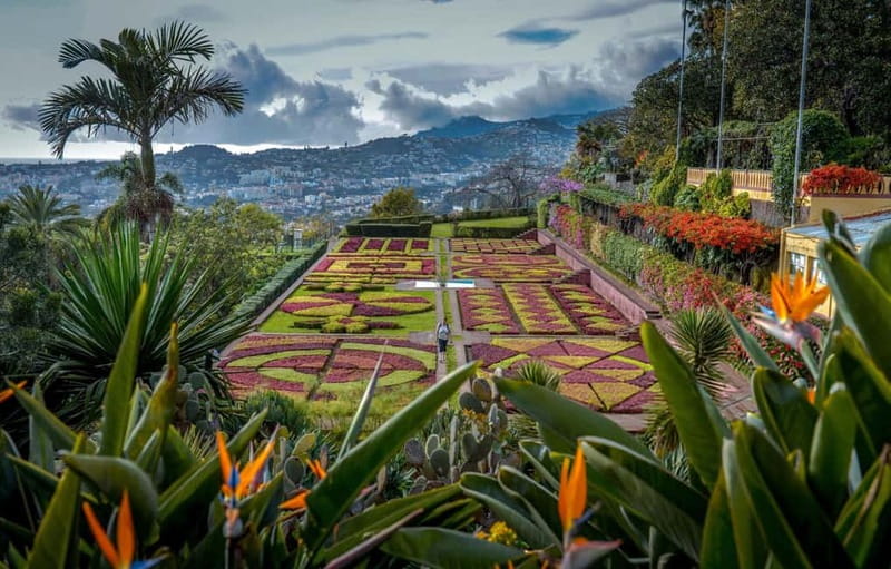 Funchal: Botanical Garden & Old Town Tour by TukTuk (1h45) - Key Points to Know Before You Go