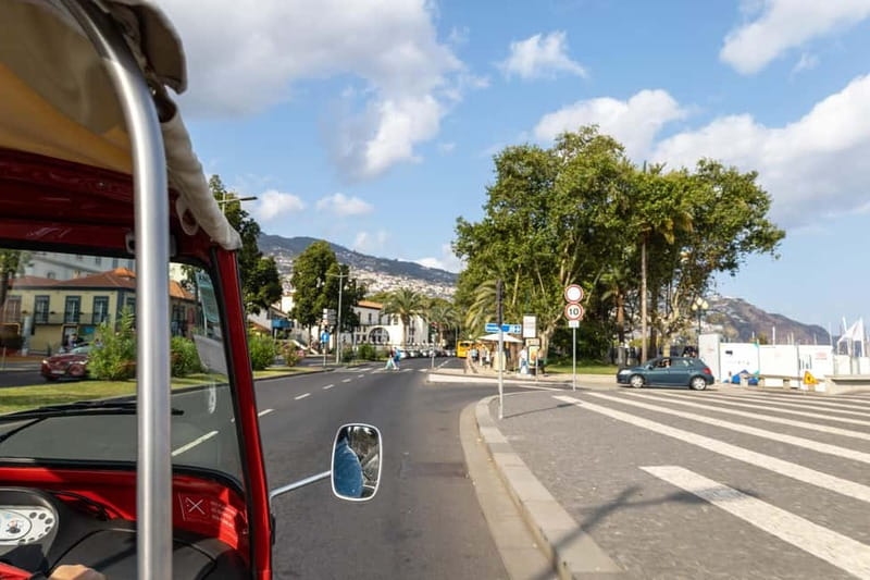 Funchal: Botanical Garden & Old Town Tour by TukTuk (1h45) - The Ride to Madeira Botanical Garden