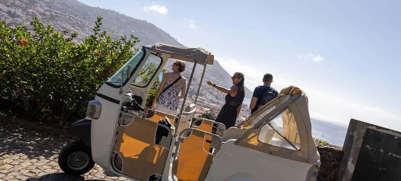 Funchal: Botanical Garden & Old Town Tour by TukTuk (1h45) - Guides Make the Difference