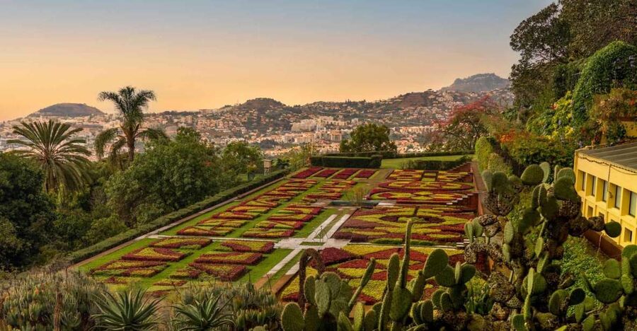 Funchal: Guided Old Town Tuk Tuk Tour and Botanical Gardens - Key points to know before booking