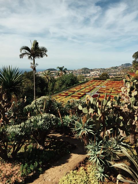 Funchal: Guided Old Town Tuk Tuk Tour and Botanical Gardens - Mercado dos Lavradores: color, smells, and a quick city lesson